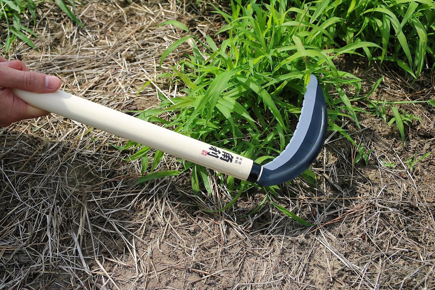 KAKURI Japanese Sickle Garden Tool 7 [Triple Edged Blade (Thick)] Made in Japan, Garden Weeding Sickle for Hard Grass, Razor Sharp Japanese Carbon Steel Blade