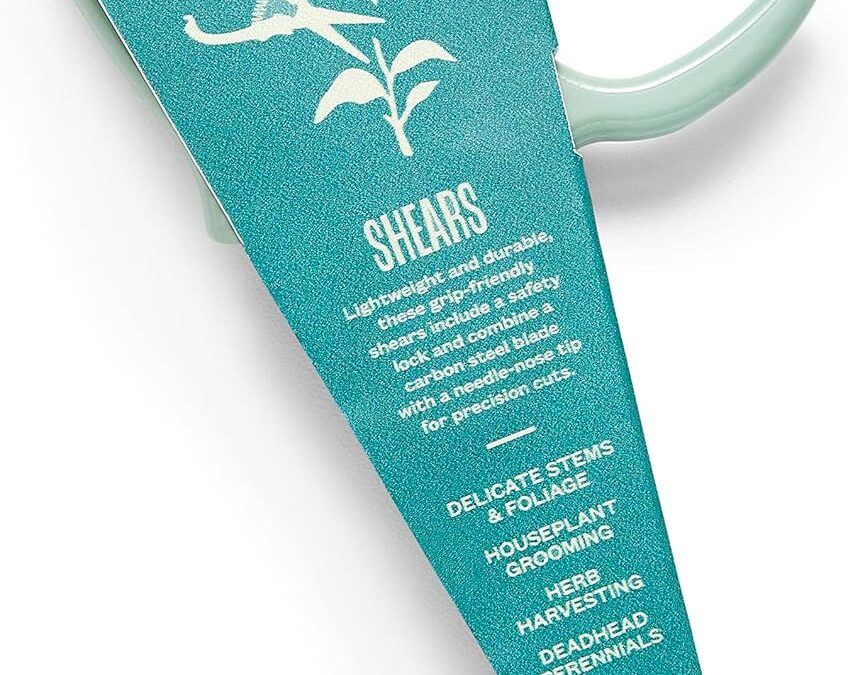 Modern Sprout Pruning Shears Review