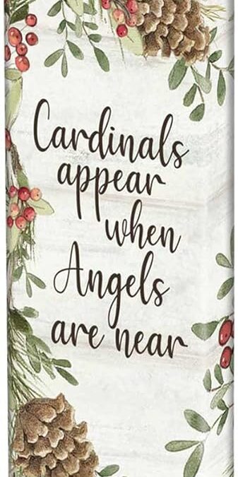 Studio M Cardinal Birds Appear Mini Art Pole Review