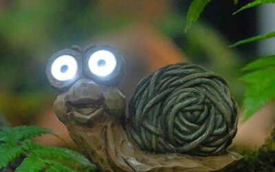 Garden Statue of Snail Review