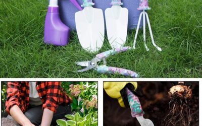 Gardening Tools Set Review