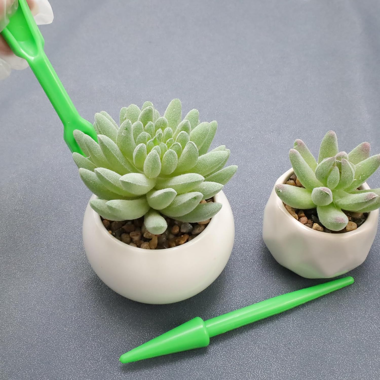 Antrader Mini Garden Hand Succulent Transplanting Tools for Indoor Gardening Plant Care, Set of 6, Green