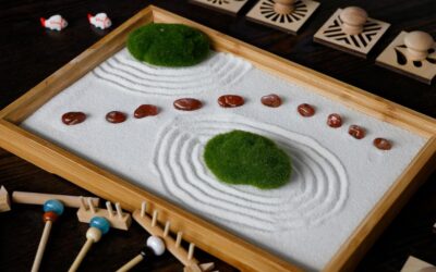 Mini Japanese Zen Garden Rake Review