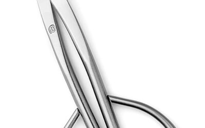 TianBonsai Bonsai Scissors T 180 Review