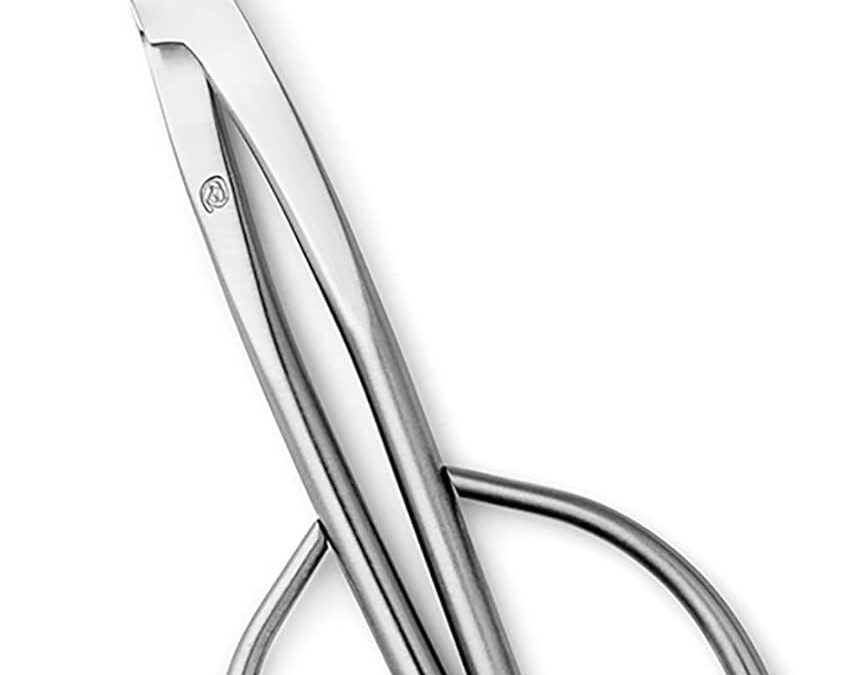 TianBonsai Bonsai Scissors T 180 Review